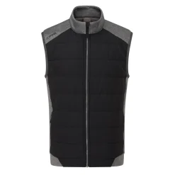 Aiden Svart-Ping New