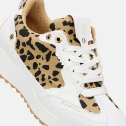 Aviva Vit-Duca del Cosma New