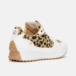 Aviva Vit-Duca del Cosma New