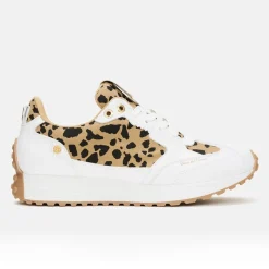 Aviva Vit-Duca del Cosma New