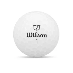 Duo Soft-Wilson Online