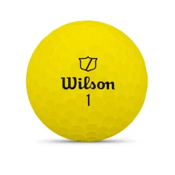 Duo Soft-Wilson Online