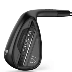 Infinite Wedge-Wilson New