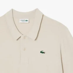 Polo Sweater-Lacoste Online