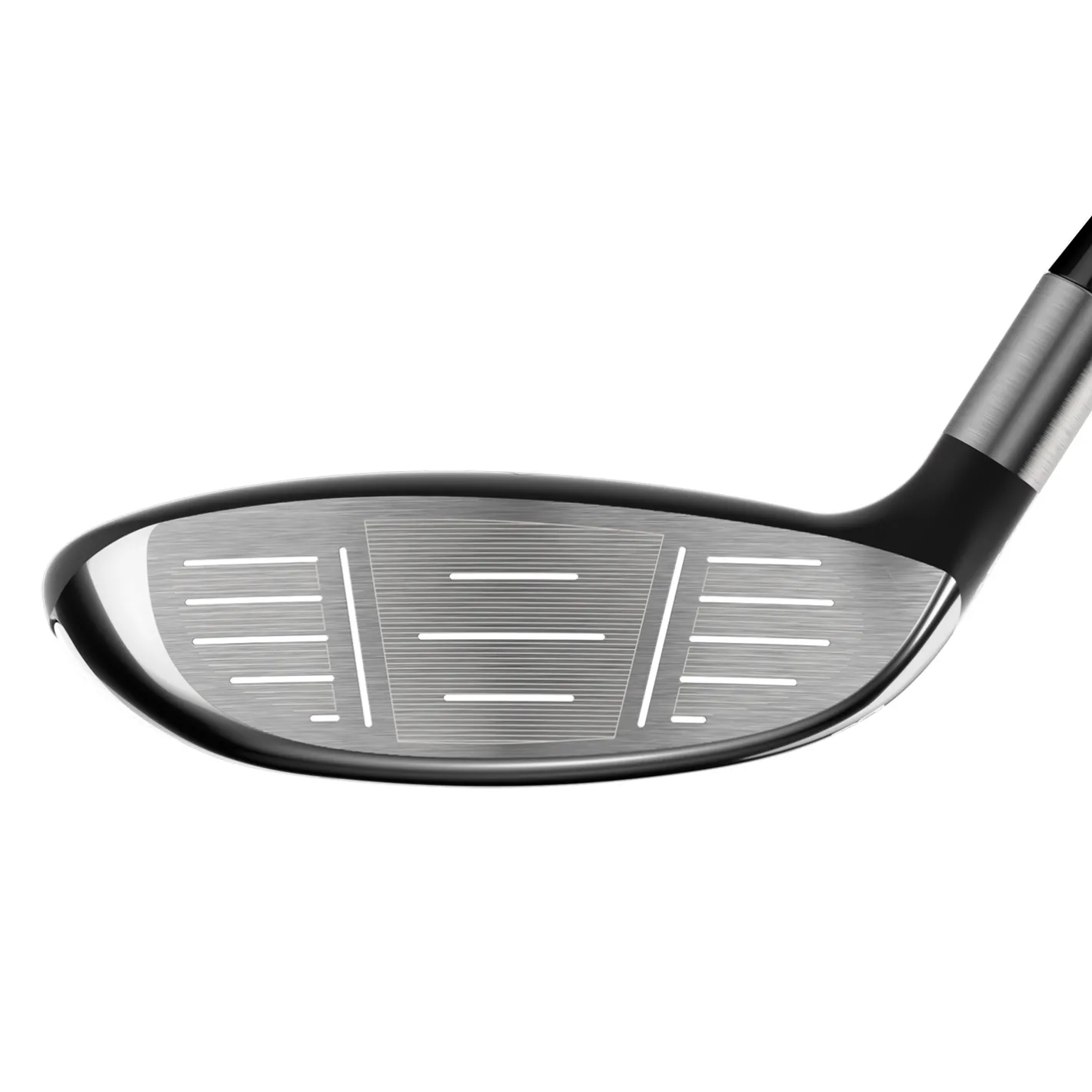 Rogue St Max 24-Callaway New