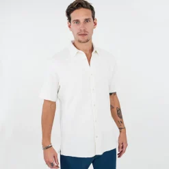 Structure-Func Factory Online