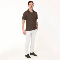 Structure-Func Factory Online