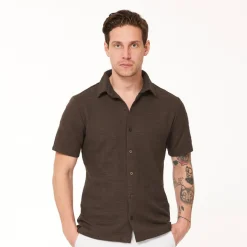 Structure-Func Factory Online