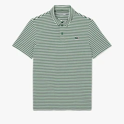Thin Stripe Grön Vit-Lacoste Online